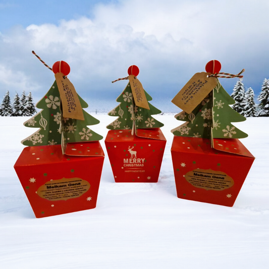 Kawowa Choinka Świąteczna "FELIZ NAVIDAD"